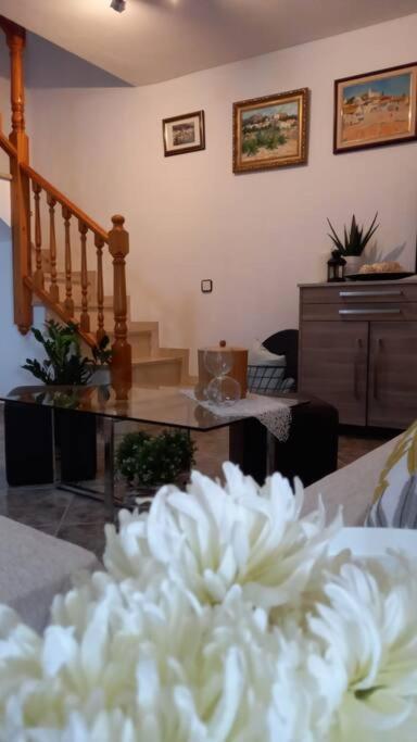 Casa Joana Villa Canyelles  Luaran gambar